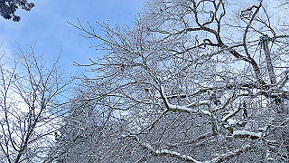 p2020104_thumb.jpg
