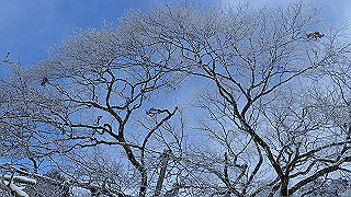 p2020105_thumb.jpg