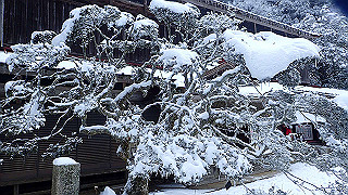 p2020106_thumb.jpg