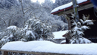 p2020107_thumb.jpg