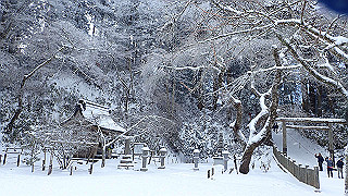 p2020109_thumb.jpg