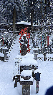 p2020112_thumb.jpg