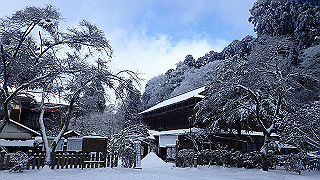 p2020114_thumb.jpg