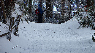 p2020120_thumb.jpg