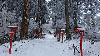 p2020121_thumb.jpg