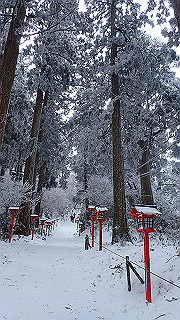p2020122_thumb.jpg