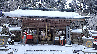 p2020123_thumb.jpg