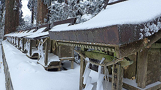 p2020128_thumb.jpg