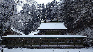 p2020129_thumb.jpg