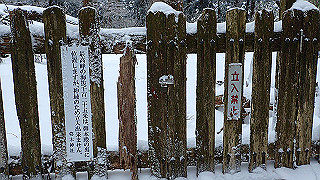 p2020132_thumb.jpg