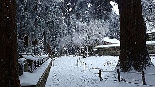 p2020134_thumb.jpg