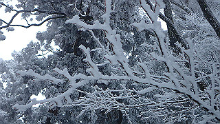 p2020139_thumb.jpg