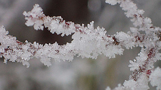 p2020140_thumb.jpg