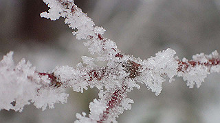 p2020141_thumb.jpg