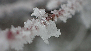 p2020142_thumb.jpg