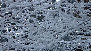 p2020144_thumb.jpg