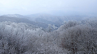 p2020175_thumb.jpg