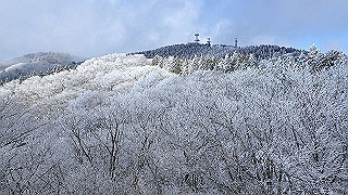 p2020188_thumb.jpg