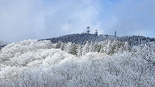 p2020189_thumb.jpg