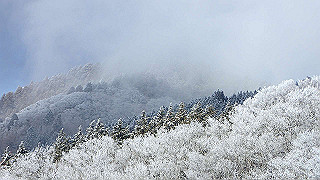 p2020193_thumb.jpg