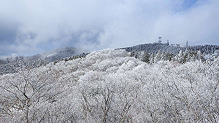p2020194_thumb.jpg