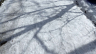 p2020200_thumb.jpg