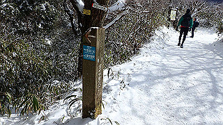 p2020204_thumb.jpg