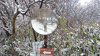 p2020208_thumb.jpg
