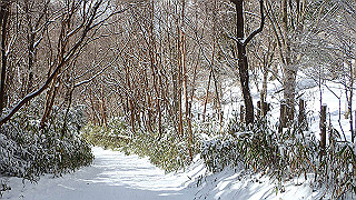 p2020209_thumb.jpg