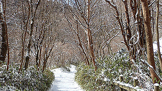 p2020211_thumb.jpg