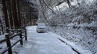 p2020212_thumb.jpg