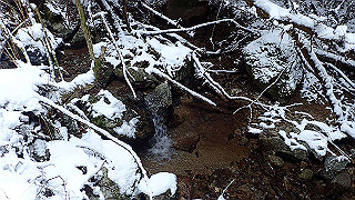p2020214_thumb.jpg
