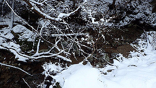 p2020215_thumb.jpg