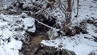 p2020217_thumb.jpg