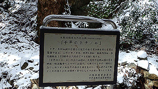 p2020222_thumb.jpg