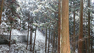p2020225_thumb.jpg