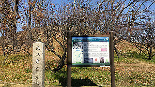 img_3148_thumb.jpg