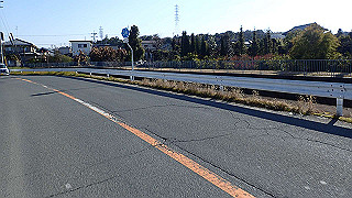p2050258_thumb.jpg