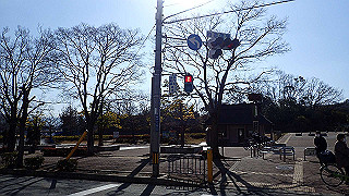 p2050263_thumb.jpg