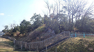 p2050269_thumb.jpg