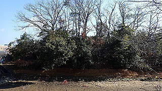 p2050270_thumb.jpg