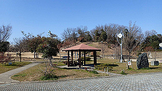 p2050272_thumb.jpg