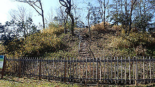 p2050276_thumb.jpg
