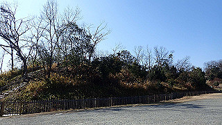 p2050277_thumb.jpg