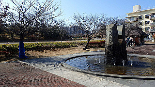p2050278_thumb.jpg