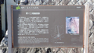 p2050282_thumb.jpg
