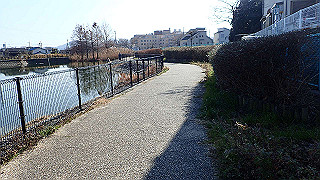 p2050285_thumb.jpg