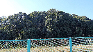 p2050286_thumb.jpg
