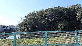 p2050287_thumb.jpg