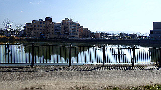 p2050288_thumb.jpg
